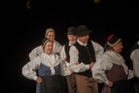 Maroltovo srečanje znova združilo koroške folklorne skupine (4)